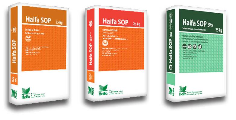 Haifa Haifa SOP™