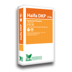 Haifa Haifa DKP™