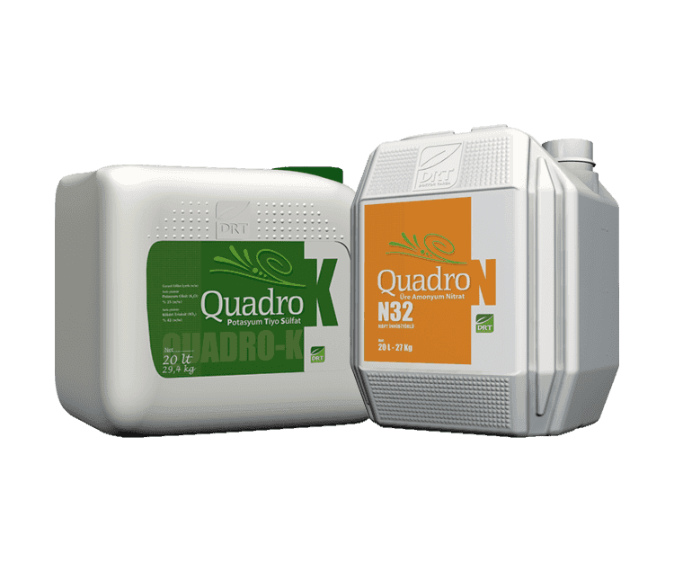 Dr. Tarsa Quadro