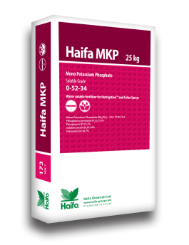 Haifa Haifa MKP™