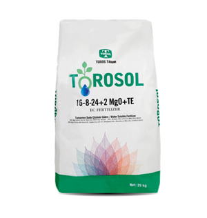 Toros Torosol