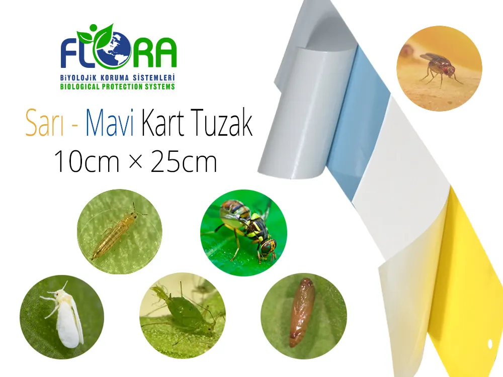 Flora IPM Yapışkan Sarı-Mavi Kart Tuzak 10cm×25cm
