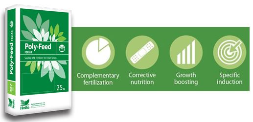 Haifa Poly-Feed™ Foliar