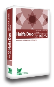 Haifa Haifa Duo™