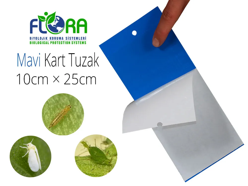 Flora IPM Yapışkan Mavi Kart Tuzak 10cm×25cm