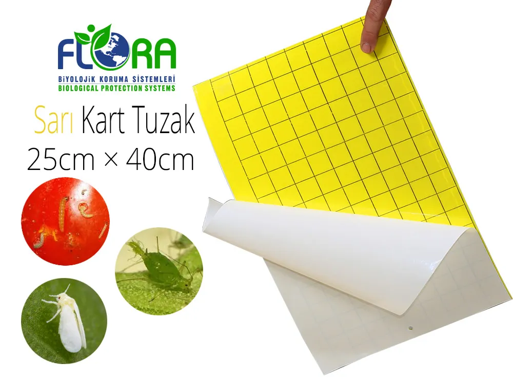 Flora IPM Yapışkan Sarı Kart Tuzak Kareli 25cm×40cm