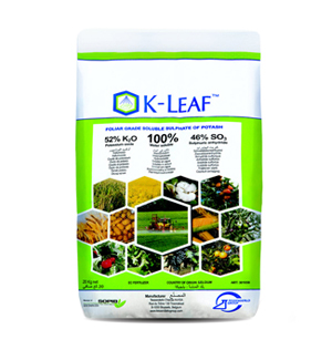 Toros K-Leaf