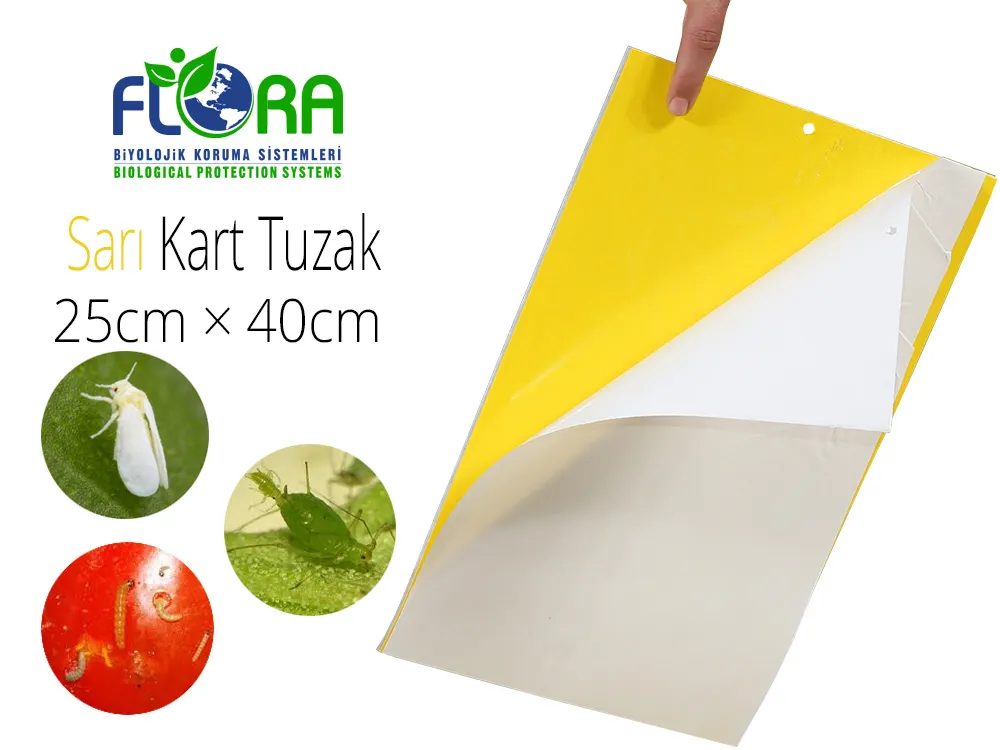 Flora IPM Yapışkan Sarı Kart Tuzak 25cm×40cm
